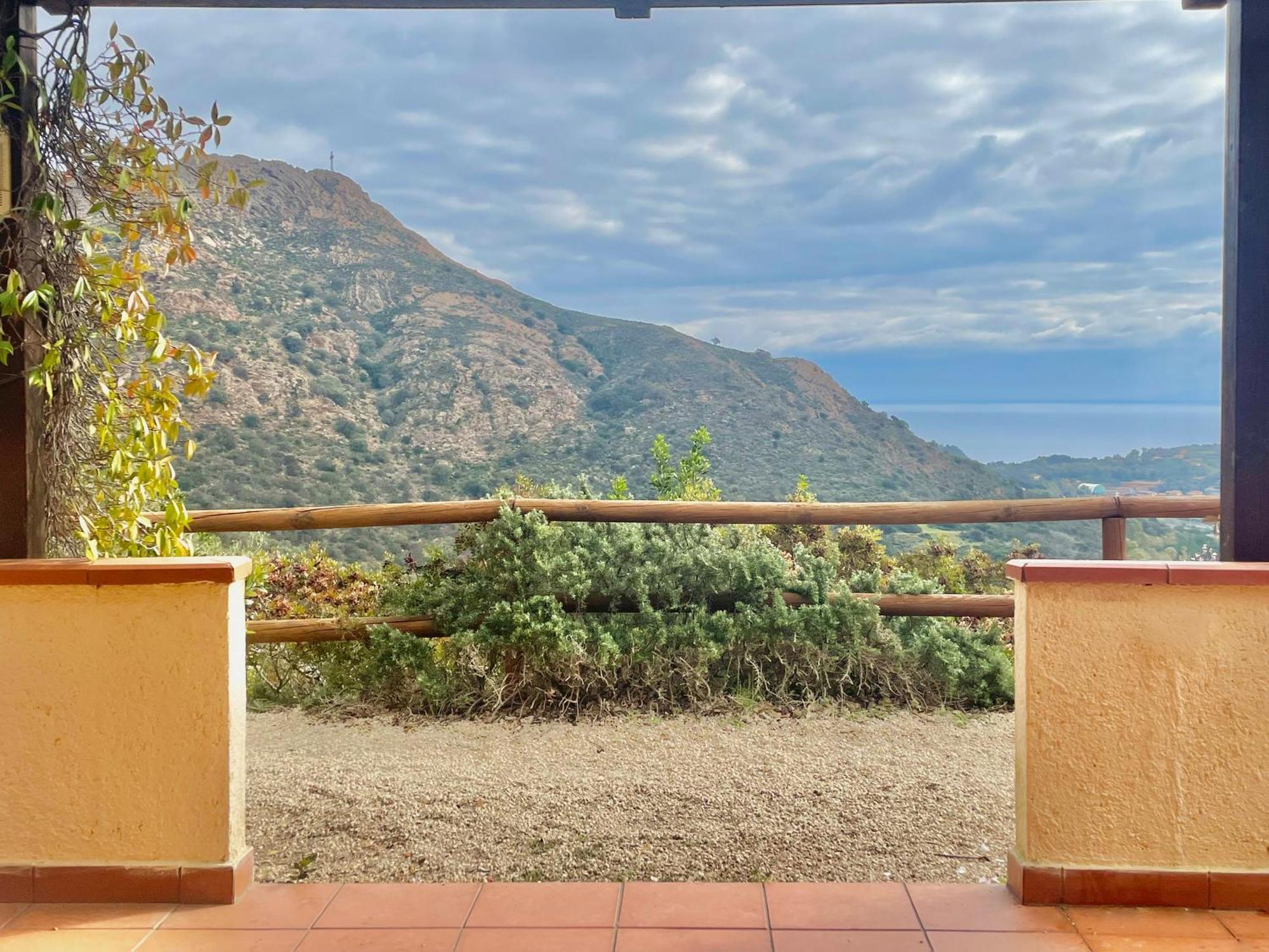 Appartement Aria Di Collina - Isola D'Elba à Porto Azzurro Chambre photo